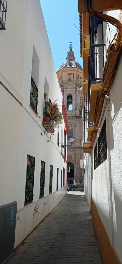 Apartamento Casco Historico Con Atico. Apartment Seville Exterior photo